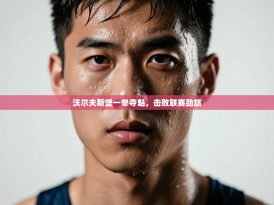 沃尔夫斯堡一举夺魁，击败联赛劲旅  第2张