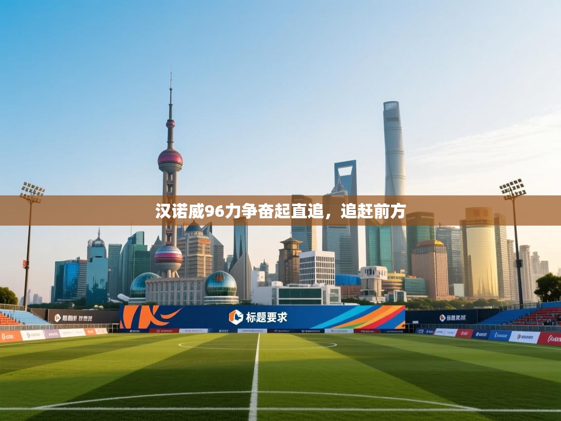 汉诺威96力争奋起直追，追赶前方  第2张