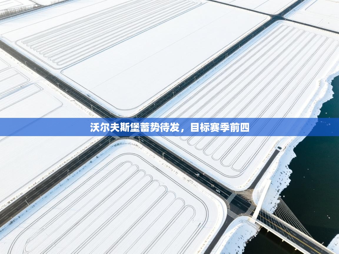 沃尔夫斯堡蓄势待发，目标赛季前四  第1张