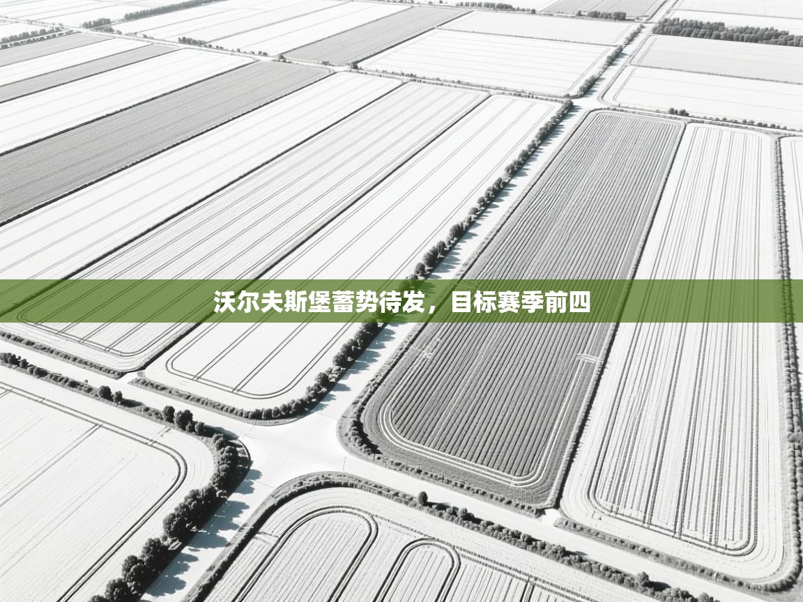 沃尔夫斯堡蓄势待发，目标赛季前四  第2张