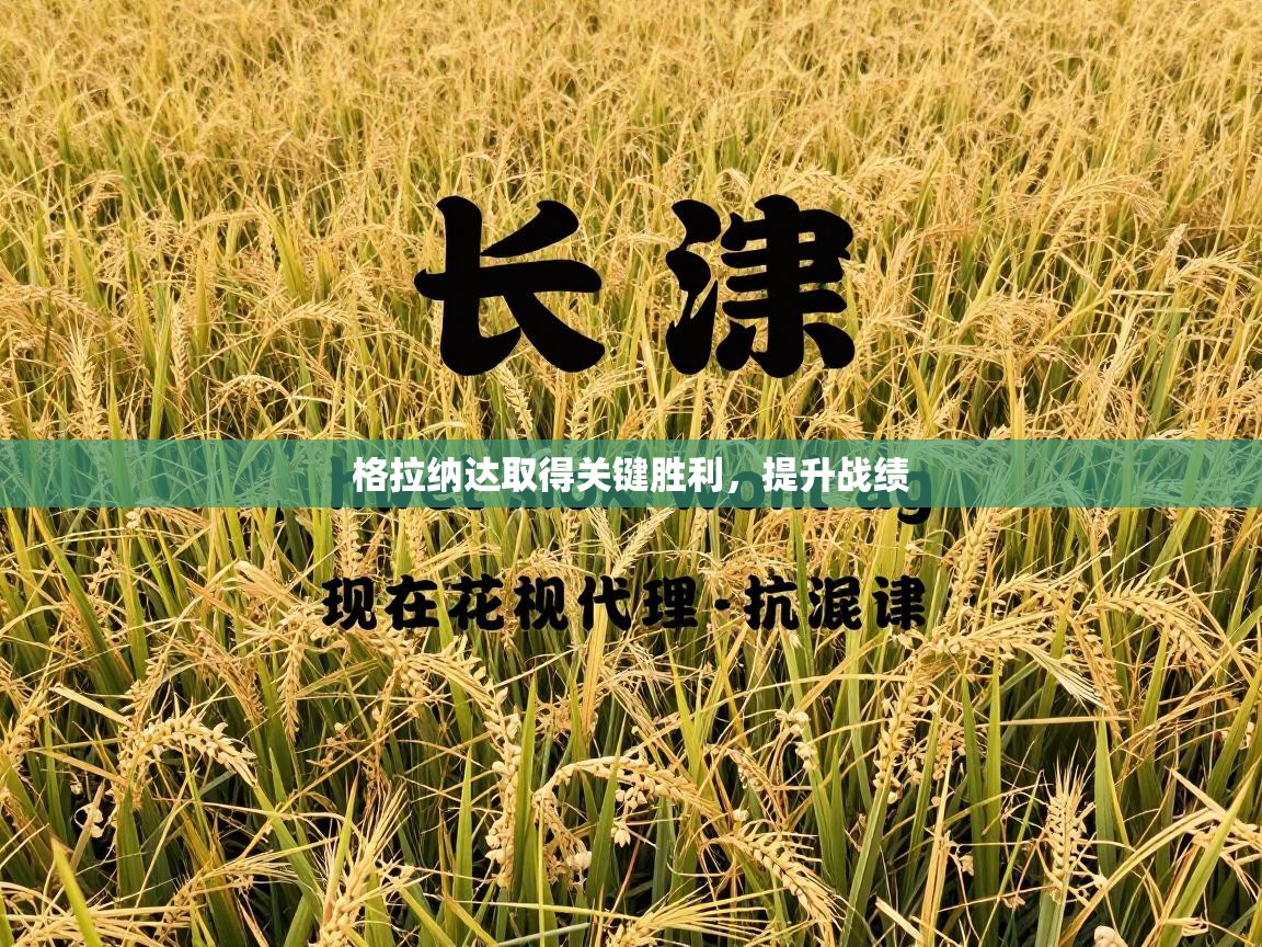 格拉纳达取得关键胜利，提升战绩  第1张