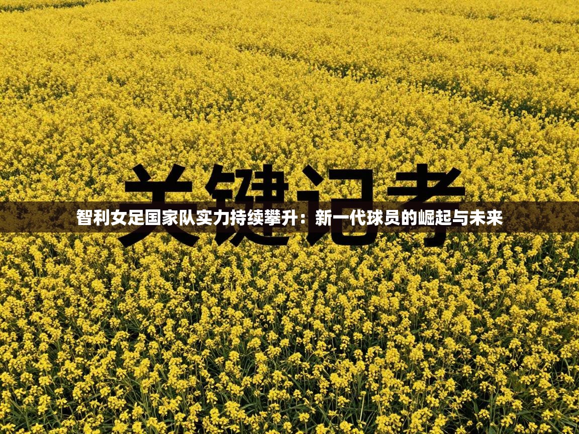 智利女足国家队实力持续攀升：新一代球员的崛起与未来  第2张