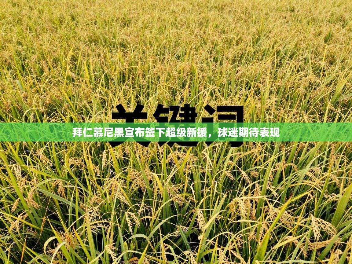 拜仁慕尼黑宣布签下超级新援，球迷期待表现  第1张